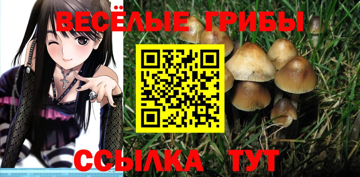 Галлюциногенные грибы мухоморы Сочи